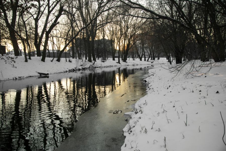 Frozen river in a Canadian park during winter showing snow-covered trees and icy conditions linked to snow day predictions