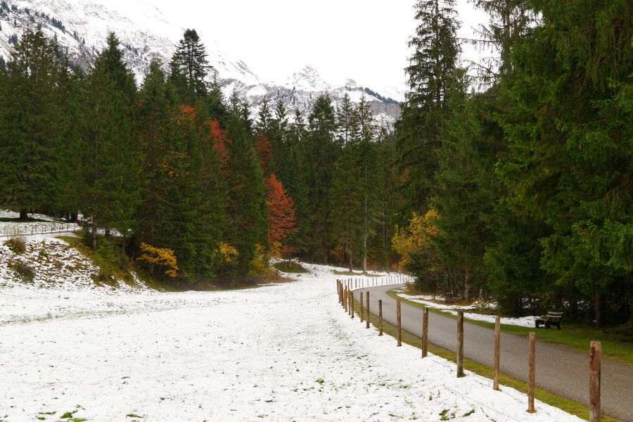 Snow-covered path through Canadian mountains and evergreen forest showing early winter conditions that influence snow day predictions