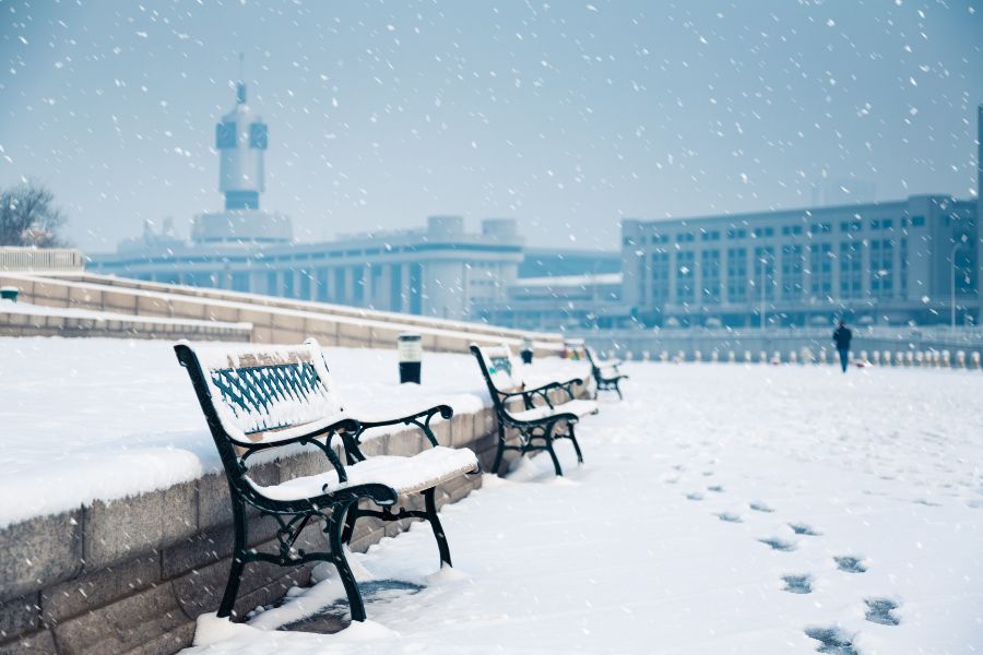 Snow-covered benches in front of Canadian school buildings during snowfall, illustrating winter conditions that trigger official snow day announcements